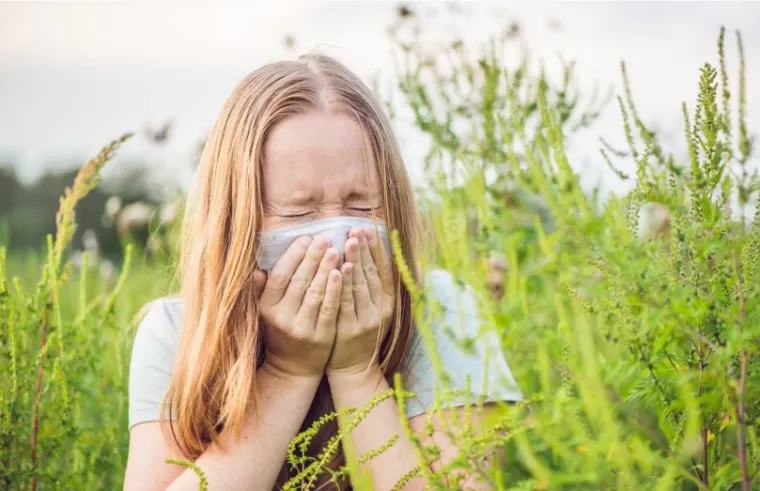 Le Rhume des Foins à Roquetoire : Quand le Printemps Chatouille Notre Nez!, Roquetoire, Pharmacie de l'Avenir